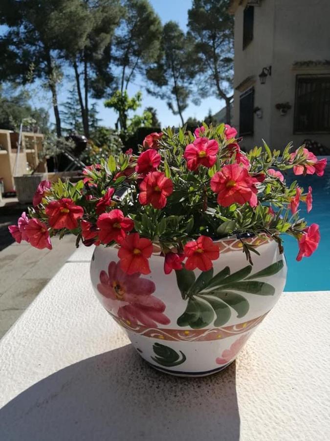 Bed and Breakfast Casa Jetizo à Ontinyent Extérieur photo